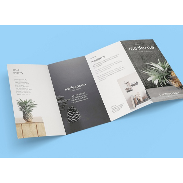 Catalog/Brochure